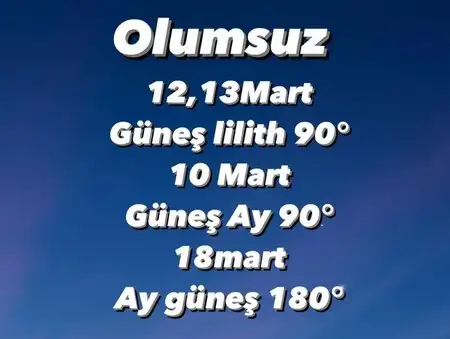 güneş balık 1 (6).webp