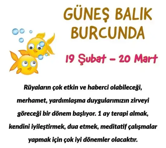 güneş balık 2 (1).webp