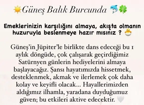 güneş balık 2 (1).webp