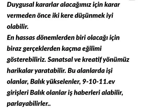 güneş balık 2 (2).webp