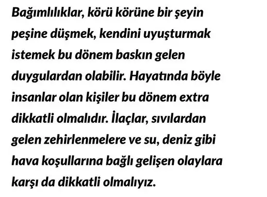 güneş balık 2 (3).webp