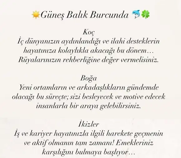 güneş balık 2 (3).webp
