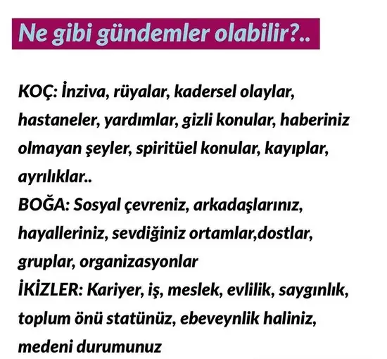 güneş balık 2 (4).webp