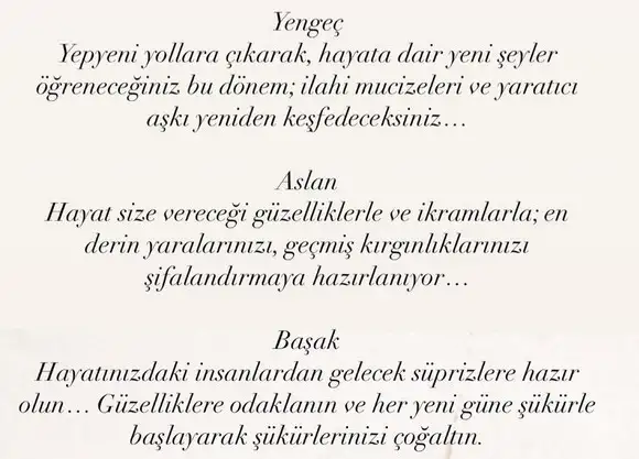güneş balık 2 (4).webp