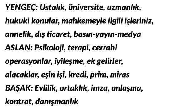 güneş balık 2 (5).webp