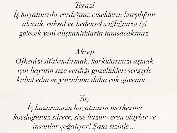 güneş balık 2 (5).webp