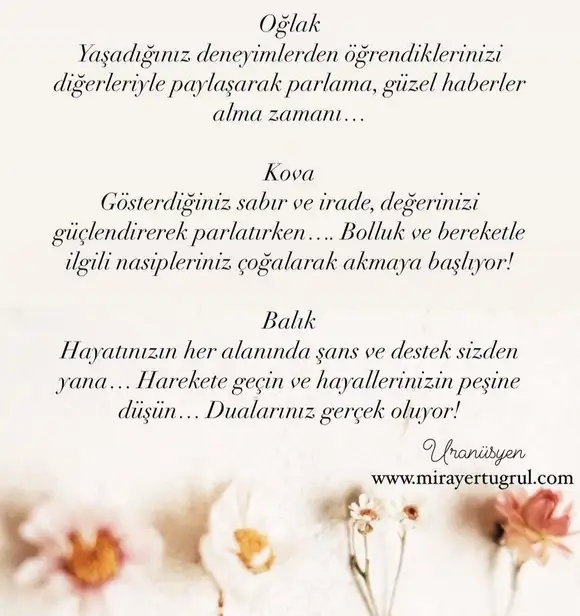 güneş balık 2 (6).webp