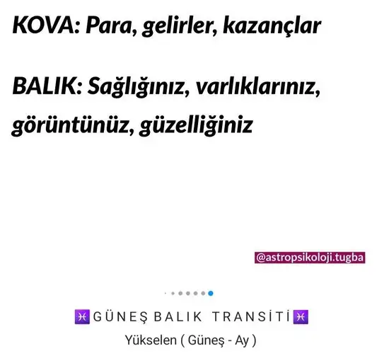 güneş balık 2 (7).webp