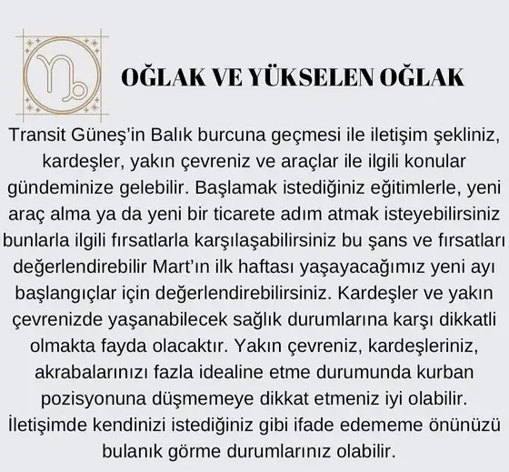 güneş balık 3 (10).jpg
