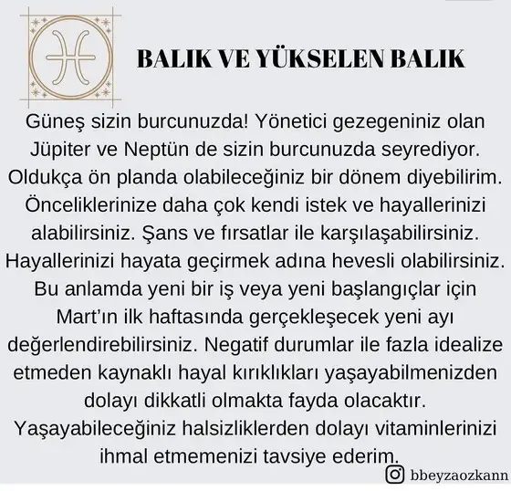 güneş balık 3 (12).jpg