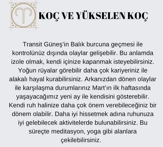güneş balık 3 (2).jpg