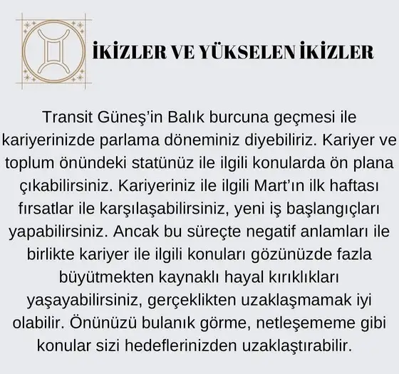 güneş balık 3 (3)a.webp