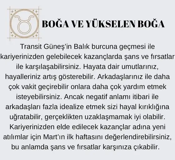 güneş balık 3 (3).jpg