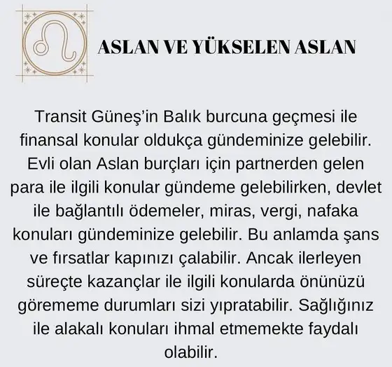 güneş balık 3 (5).jpg
