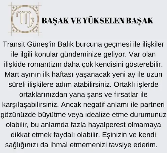 güneş balık 3 (6).jpg