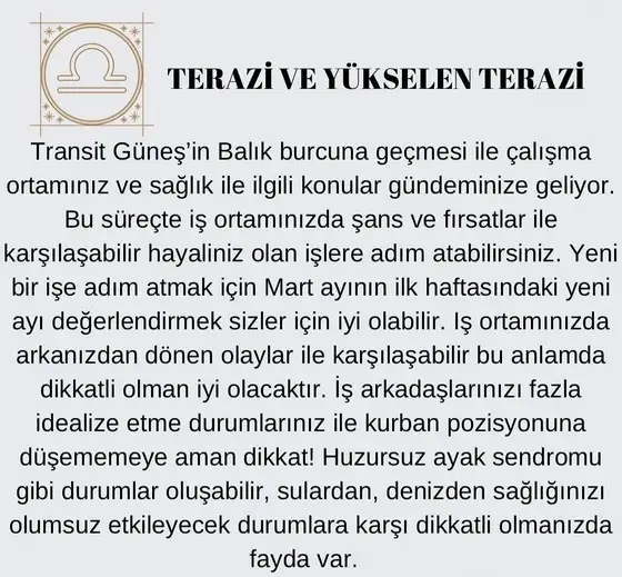 güneş balık 3 (7).jpg
