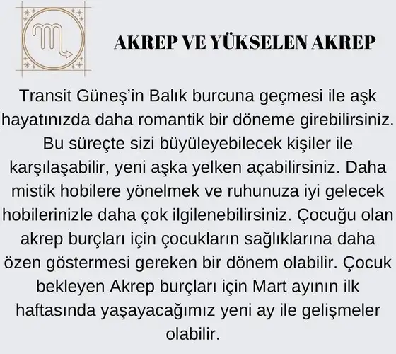 güneş balık 3 (8).jpg