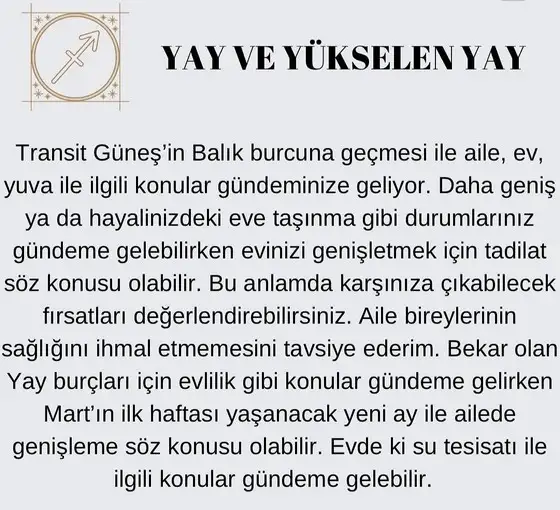 güneş balık 3 (9).jpg