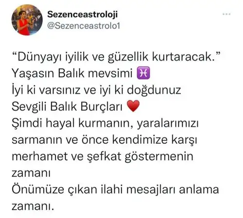 güneş balık 4 (1).webp