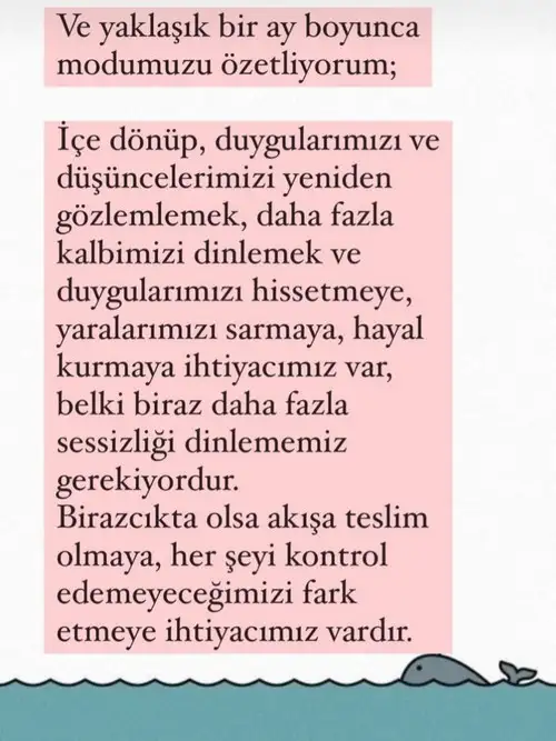 güneş balık 4 (2).webp