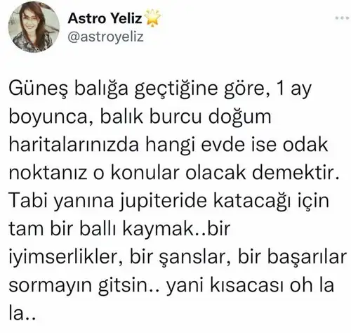 güneş balık 4.webp