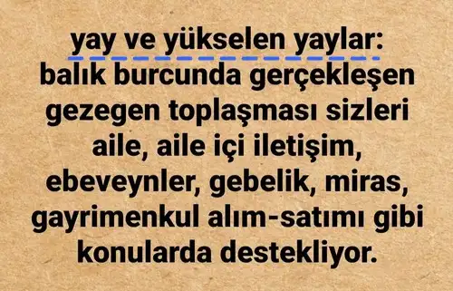 güneş balık 5 (10).webp