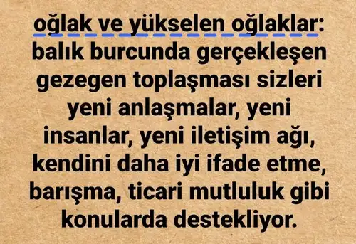 güneş balık 5 (11).webp