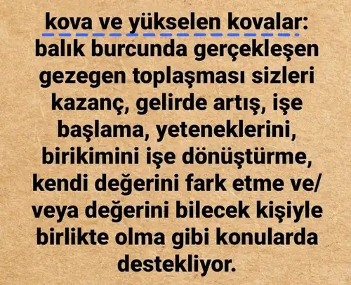güneş balık 5 (12).webp