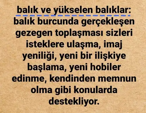 güneş balık 5 (13).webp