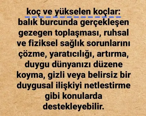 güneş balık 5 (2).webp
