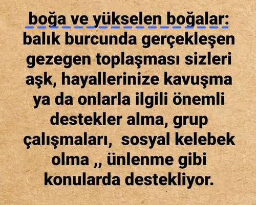 güneş balık 5 (3).webp