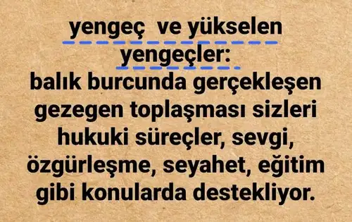 güneş balık 5 (5).webp