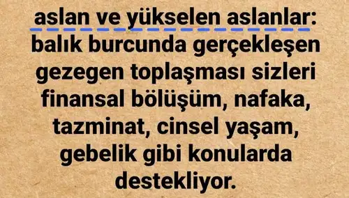 güneş balık 5 (6).webp
