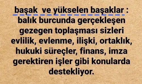 güneş balık 5 (7).webp