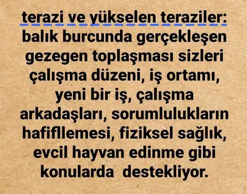 güneş balık 5 (8).webp