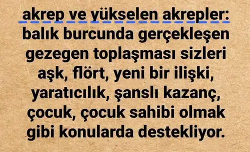 güneş balık 5 (9).webp