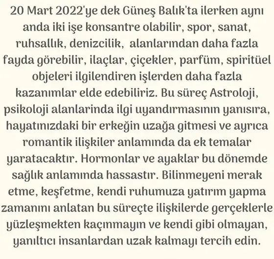 güneş balık1 (2).jpg