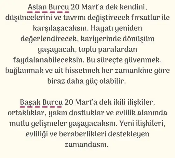 güneş balık1 (4).webp