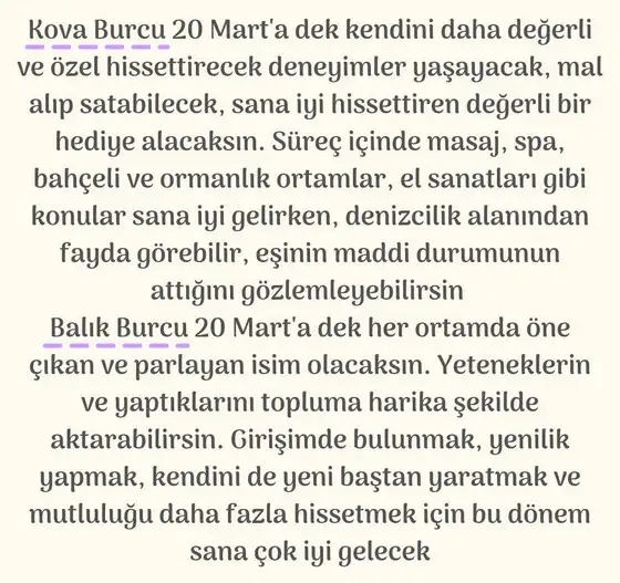 güneş balık1 (7).jpg