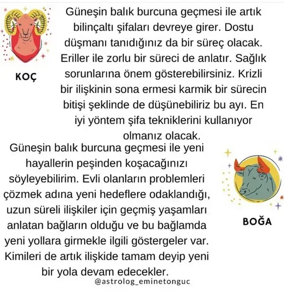 güneş balık2 (2).webp