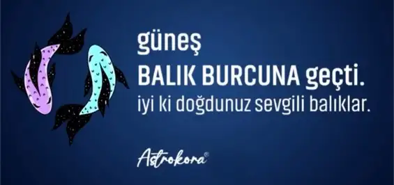 güneş bALIK3 (1).webp