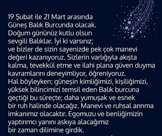 güneş bALIK3 (2).webp