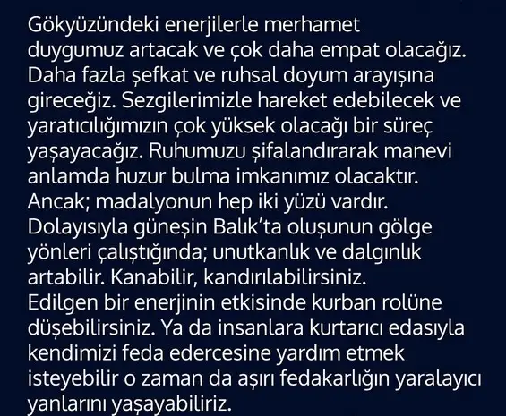güneş bALIK3 (3).webp