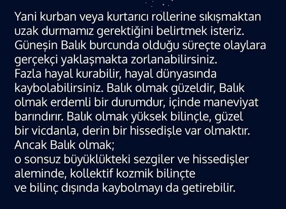 güneş bALIK3 (4).webp