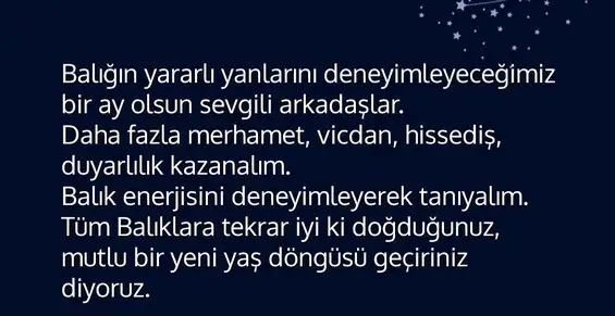 güneş bALIK3 (5).webp