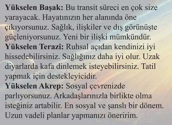 güneş başak1 (8).webp