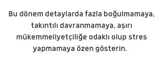 güneş başak10 (4).webp