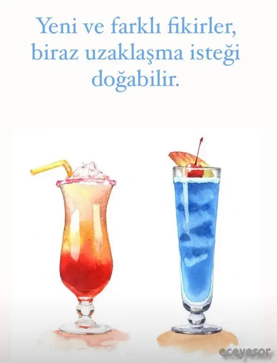 güneş başak11 (3).webp