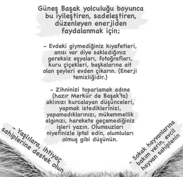 güneş başak12 (2).webp