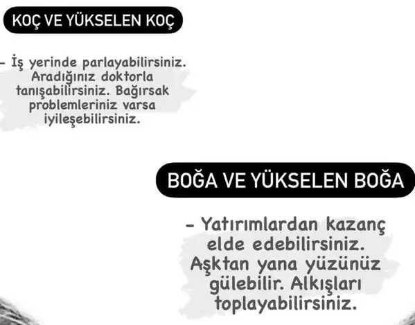 güneş başak12 (3).webp